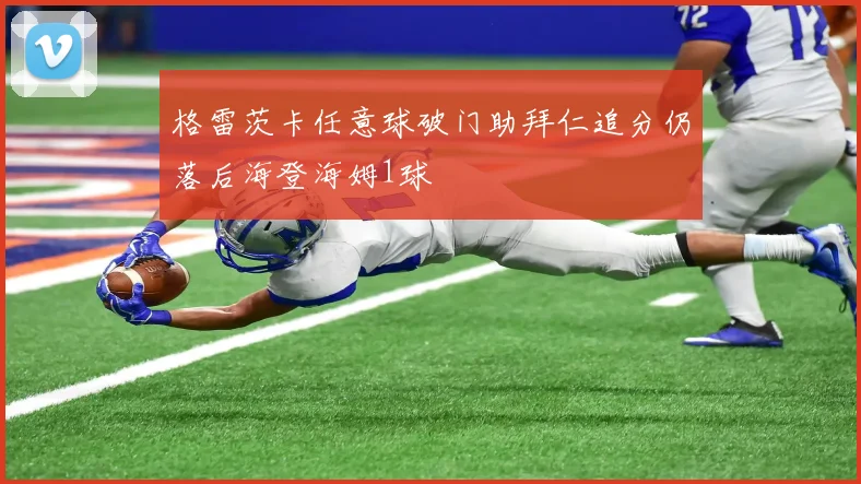 格雷茨卡任意球破门助拜仁追分仍落后海登海姆1球
